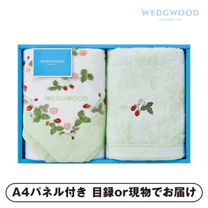 ウェッジウッド フェイスタオル2P（グリーン）【パネル・目録付】