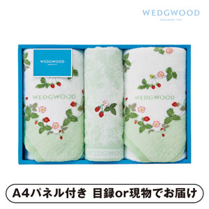 ウェッジウッド フェイス2P・ウォッシュタオル1P（グリーン）【パネル・目録付】