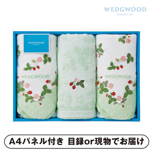 ウェッジウッド フェイスタオル3P（グリーン）【パネル・目録付】