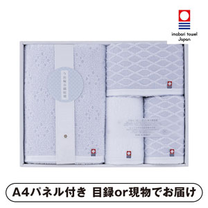 今治輪奈織紋様 あられ&つなぎ タオルセット【パネル・目録付】