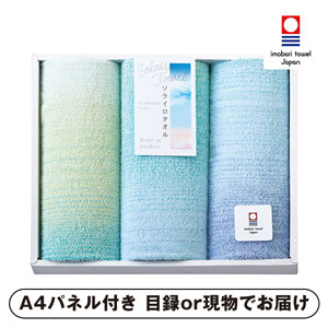 Solairo Towel（ソライロタオル） 今治産タオル フェイスタオル3P（ブルー）【パネル・目録付】