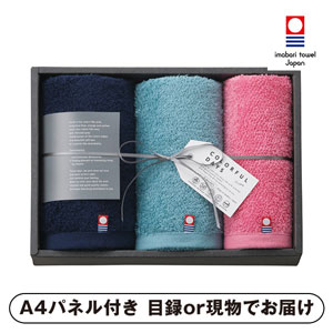 カラフルデイズ フェイス2P・ハンドタオル1P（ピンク）【パネル・目録付】