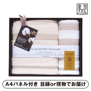 泉州 インディア・オーガニックII バス1P・フェイスタオル1P【パネル・目録付】