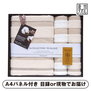 泉州 インディア・オーガニックII バス1P・フェイスタオル2P【パネル・目録付】