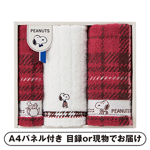 ピーナッツ スヌーピー チェック フェイス2P・ウォッシュタオル1P【パネル・目録付】