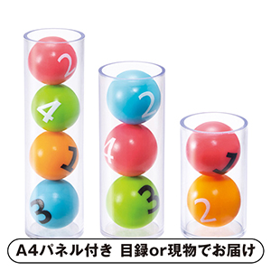 ロジカルニュートン 野口英世の研究【パネル・目録付】