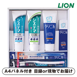 ライオン デンタルセット【パネル・目録付】