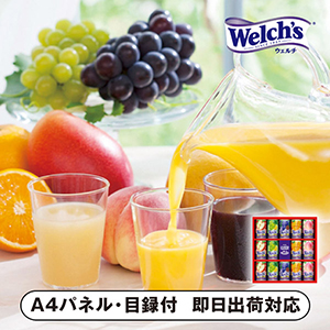 ウェルチギフト A【パネル・目録付】