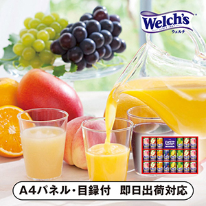 ウェルチギフト B【パネル・目録付】