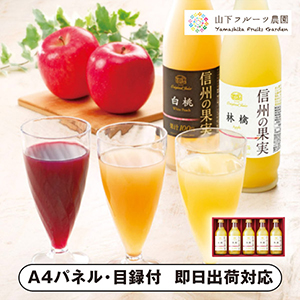 りんご村からのおくりもの 信州の果実 林檎ジュースセット A【パネル・目録付】