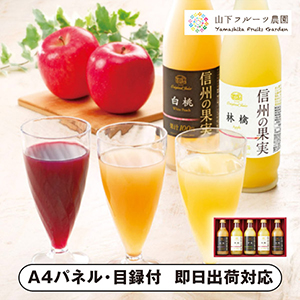 りんご村からのおくりもの 信州の果実 アソートジュースセット A【パネル・目録付】