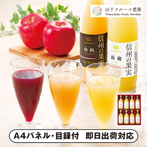 りんご村からのおくりもの 信州の果実 林檎ジュースセット B【パネル・目録付】
