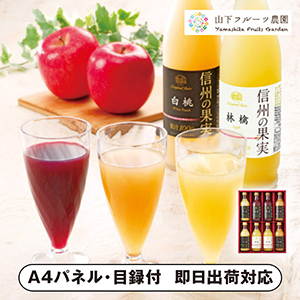 りんご村からのおくりもの 信州の果実 アソートジュースセット B【パネル・目録付】