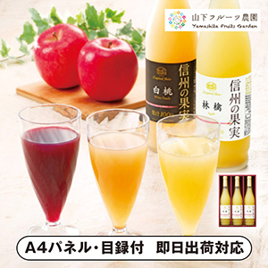 りんご村からのおくりもの 信州の果実 林檎ジュースセット D【パネル・目録付】