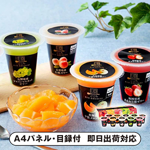 涼ごこち詰合せ10個入【パネル・目録付】