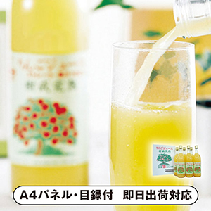 青森津軽産地直送樹成完熟林檎ジュース【パネル・目録付】