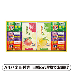 炭酸力の薬用入浴剤セットC【パネル・目録付】
