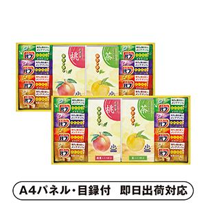 炭酸力の薬用入浴剤セットF【パネル・目録付】