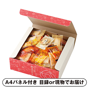 いろどり野菜おかきB【パネル・目録付】