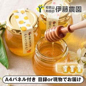 伊藤農園 有田のはちみつ 3個【パネル・目録付】