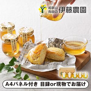 伊藤農園 有田のはちみつ 5個【パネル・目録付】