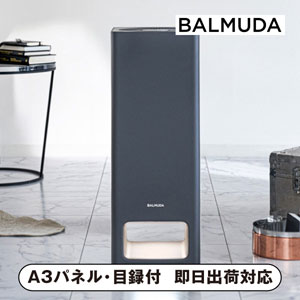 BALMUDA The Pure ダークグレー【パネル・目録付】