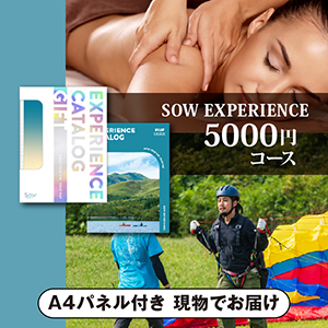 SOW EXPERIENCE 総合版カタログギフト【5000円コース】（BLUE） 【パネル付】
