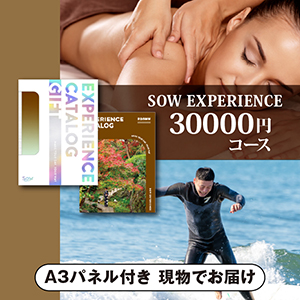 SOW EXPERIENCE 総合版カタログギフト【30000円コース】（BROWN） 【パネル付】