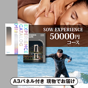 SOW EXPERIENCE 総合版カタログギフト【50000円コース】（SILVER） 【パネル付】
