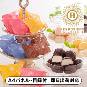 銀座京橋 レ ロジェ エギュスキロール ショコラアイスボール【パネル・目録付】