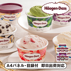 ハーゲンダッツ　アソートバラエティA【パネル・目録付】