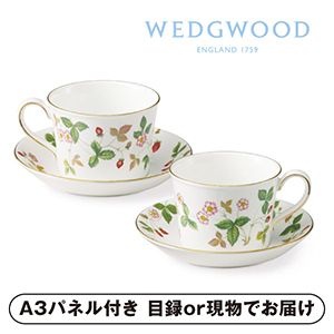 【Wedgwood】ワイスト ティーC&S（デルフィ）ペア【パネル・目録付】