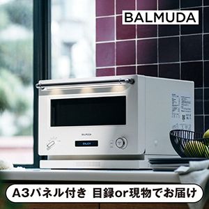 【BALMUDA】バルミューダ ザ レンジ ホワイト【パネル・目録付】