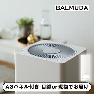 【BALMUDA】バルミューダ ザ ピュア ホワイト【パネル・目録付】