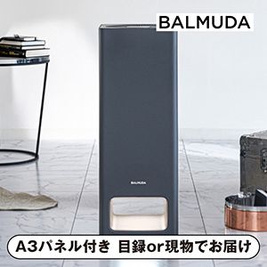 【BALMUDA】バルミューダ ザ ピュア ダークグレー【パネル・目録付】