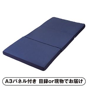 【昭和西川ラクシーン】ラクシーン マットレス デラックス【パネル・目録付】