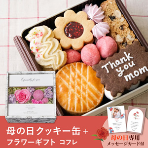 【7％OFF】【送料無料】【PIARY限定セット】菓子工房さっちん