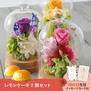 【送料無料】母の日フラワーギフト ボーテS さっちん工房 レモンケーキ2個セット
