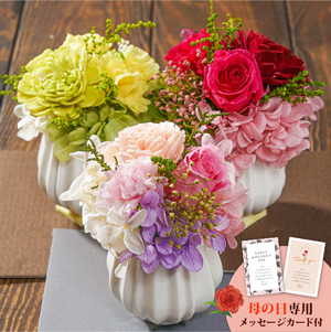 母の日フラワーギフト フランシーズS