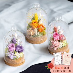 母の日フラワーギフト ミニョン