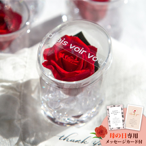 母の日フラワーギフト フラン