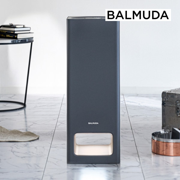 BALMUDA The Pure ダークグレー　2020年製 送料無料】BALMUDA The Pure ダークグレー|インテリア・雑貨なら
