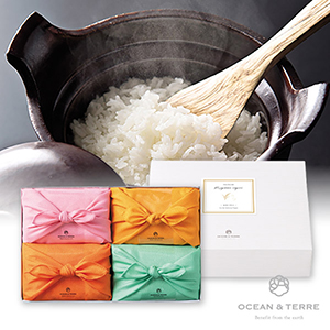 TSUTSUMI 瑞穂の恵みD