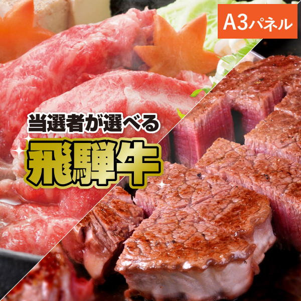 選べる飛騨牛
