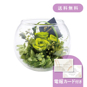 【送料無料】結婚式電報・祝電［ガラスアレンジ グリーン］
