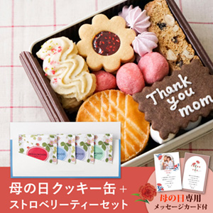 【送料無料】【PIARY限定セット】菓子工房さっちんコラボ 母の日