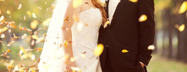 秋におすすめ！ペーパーアイテム