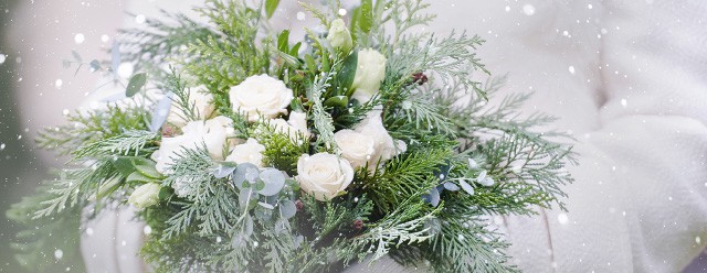 冬におすすめ！ペーパーアイテム