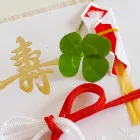 結婚式の縁起物とは？なしでもいい？人気でおしゃれな品もあわせてご紹介