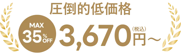 圧倒的低価格 MAX35%OFF 3,670円（税込）